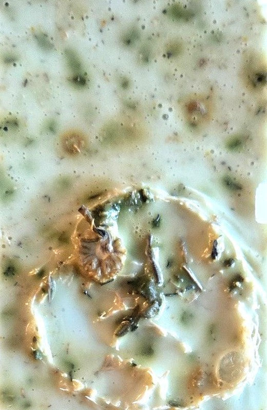 Handcrafted Herbal Goat Milk & Shea Butter Soap