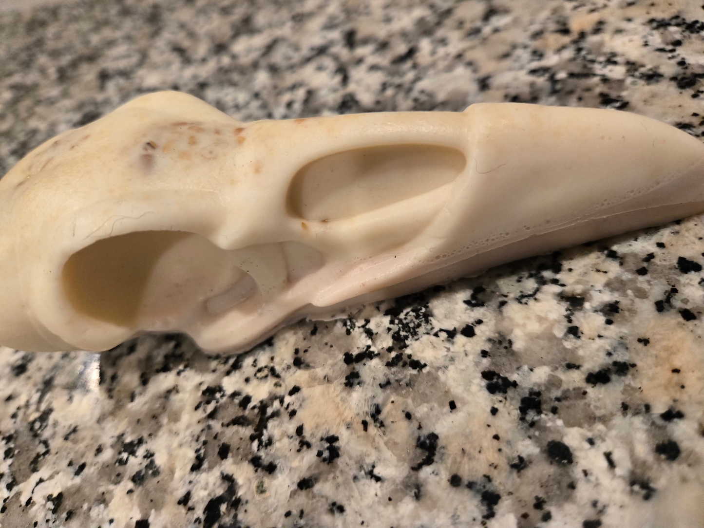 White ceramic object resembling a bird's head on a speckled countertop