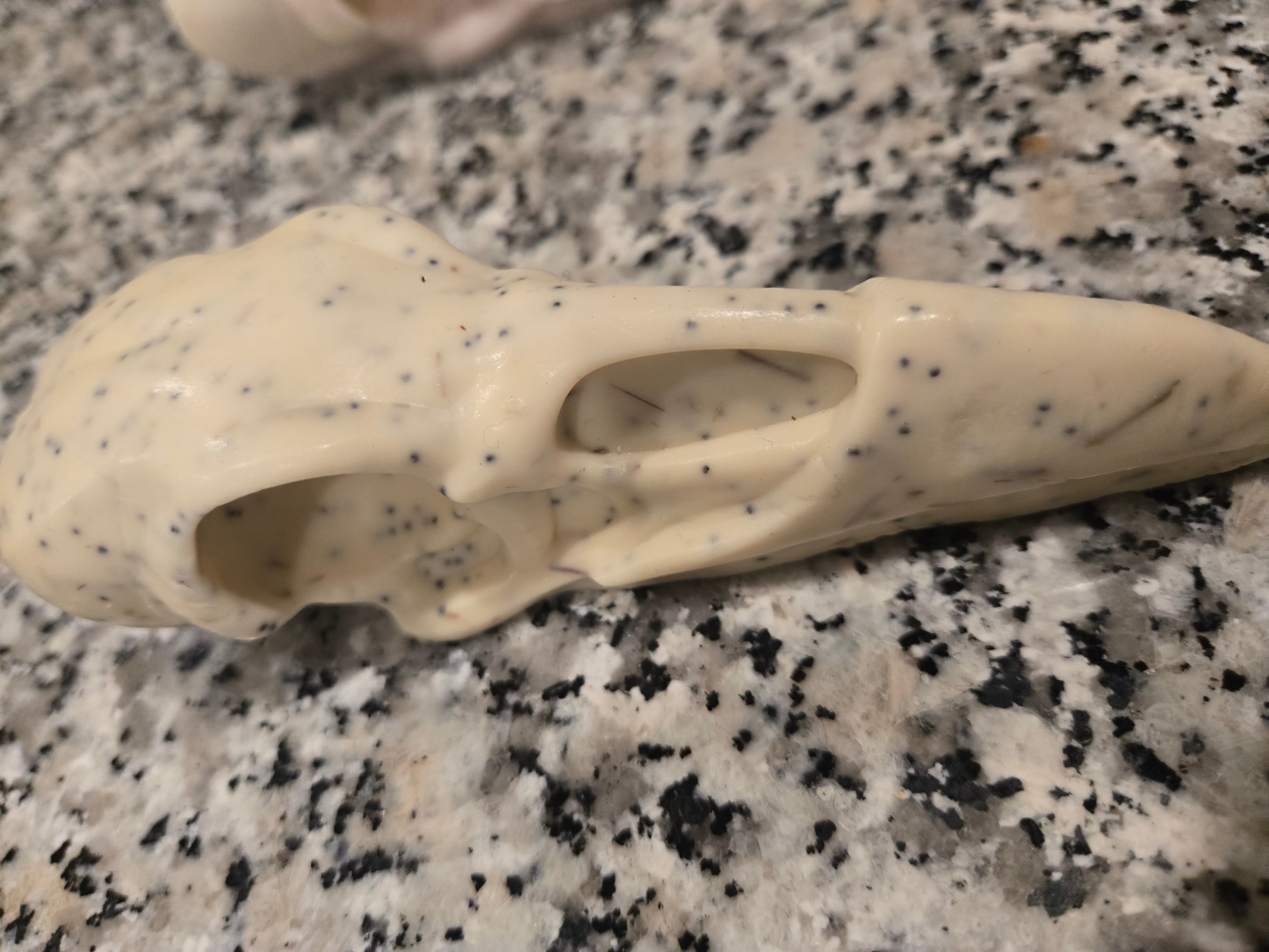 Skull-shaped object on a speckled surface